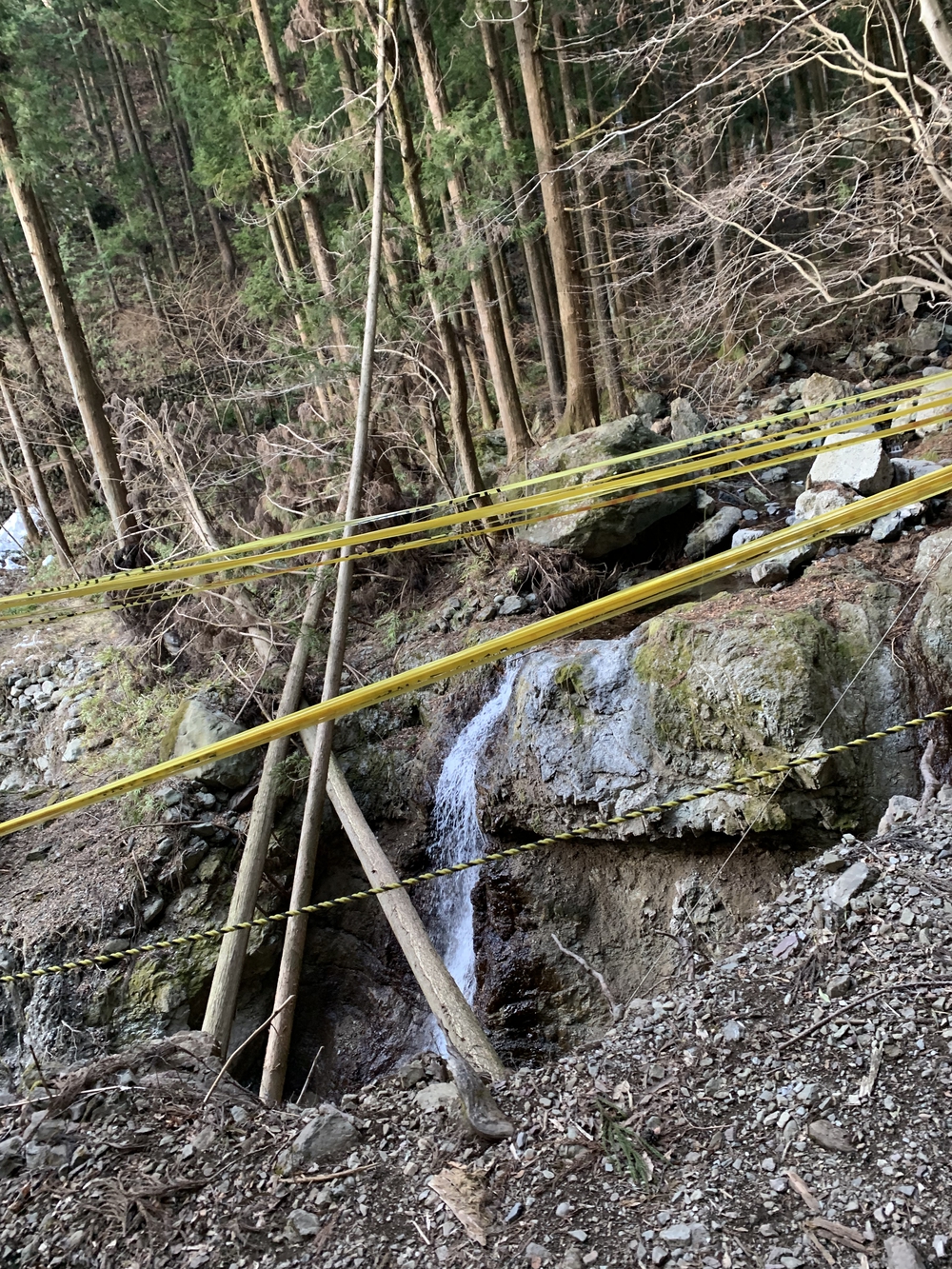 【トレイル】武甲山1wayの写真7