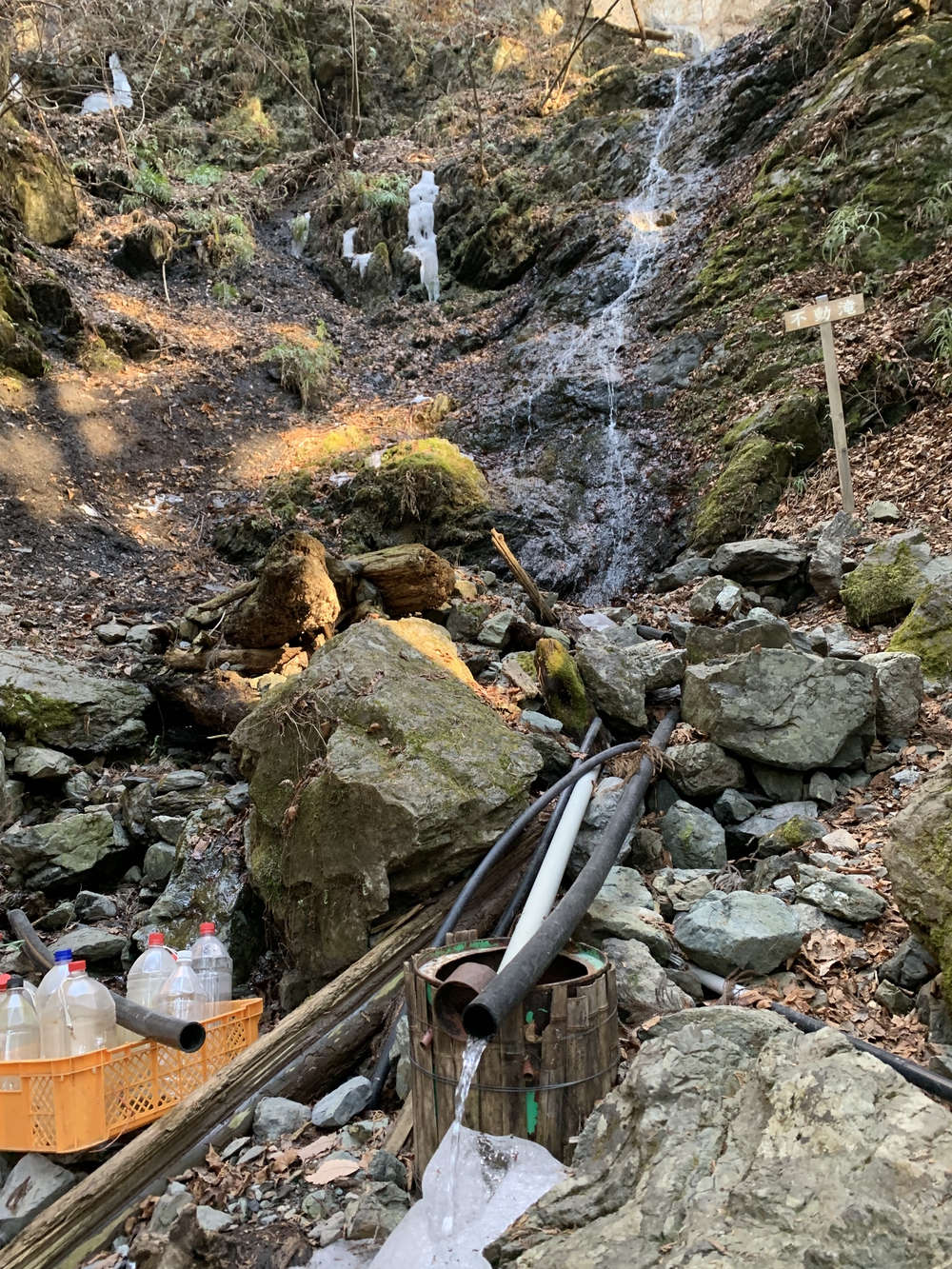 【トレイル】武甲山1wayの写真9