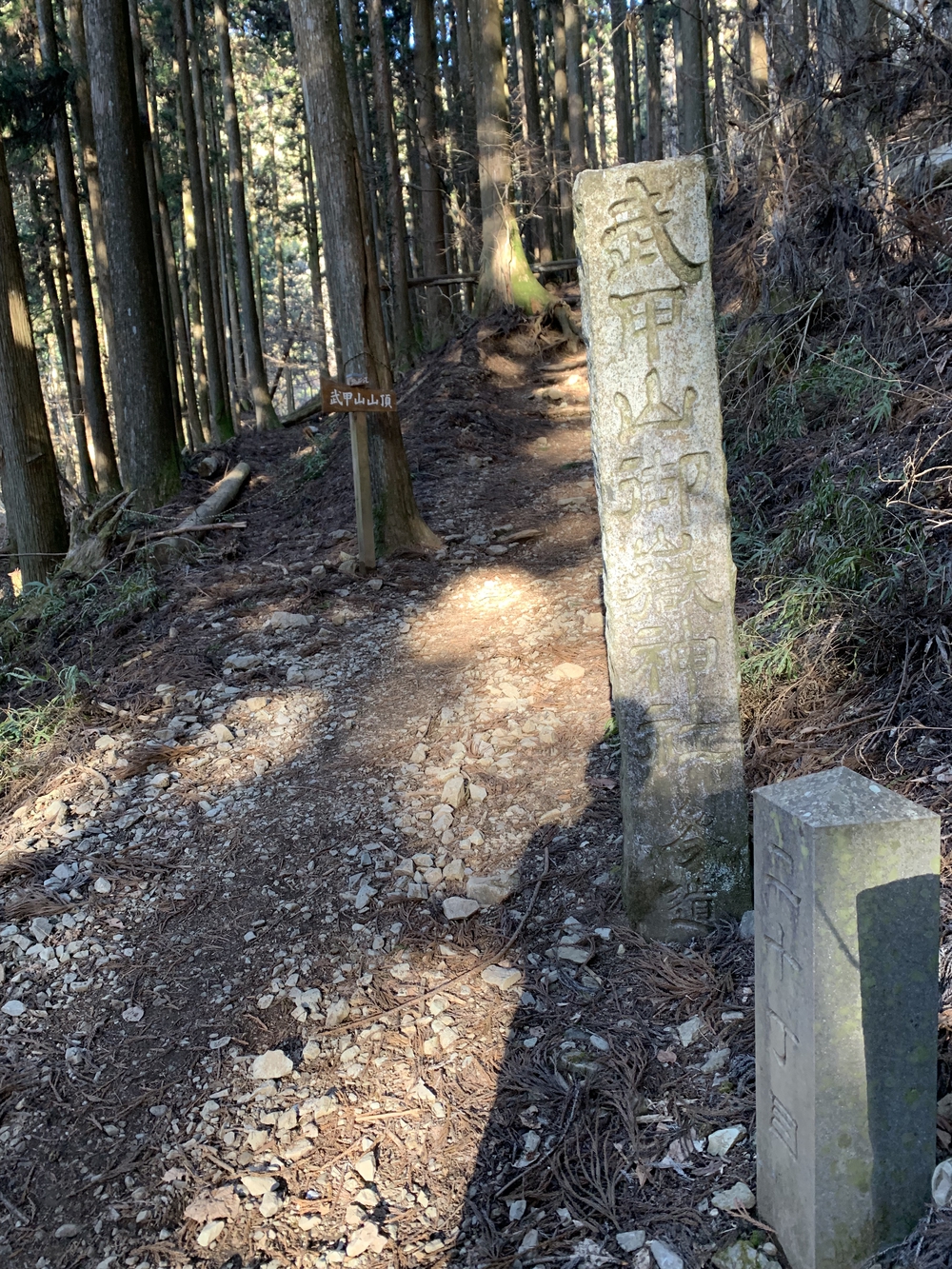 【トレイル】武甲山1wayの写真10