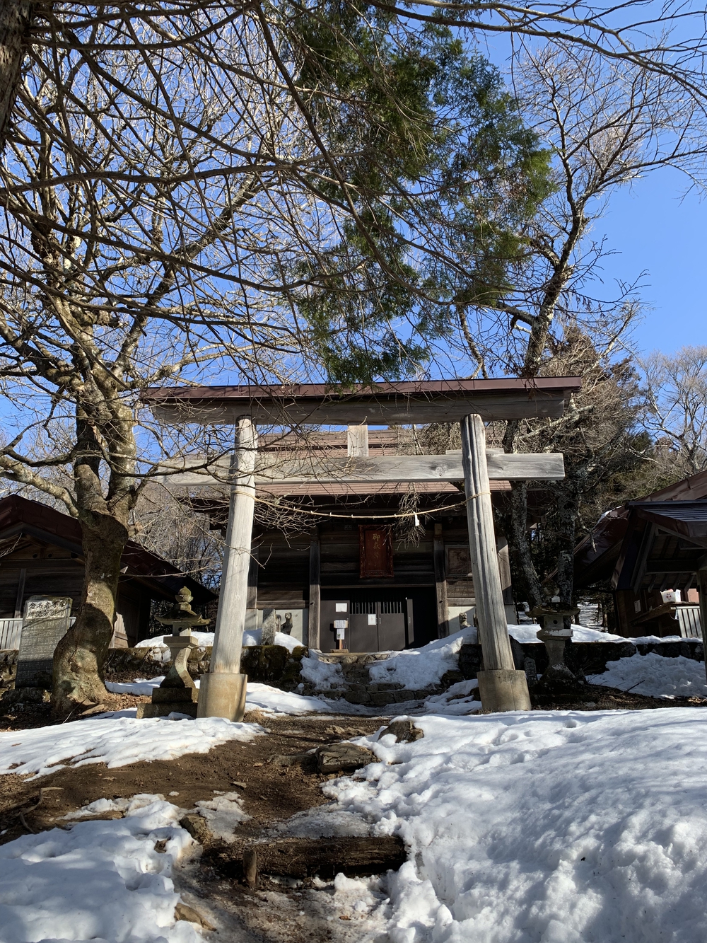 【トレイル】武甲山1wayの写真13