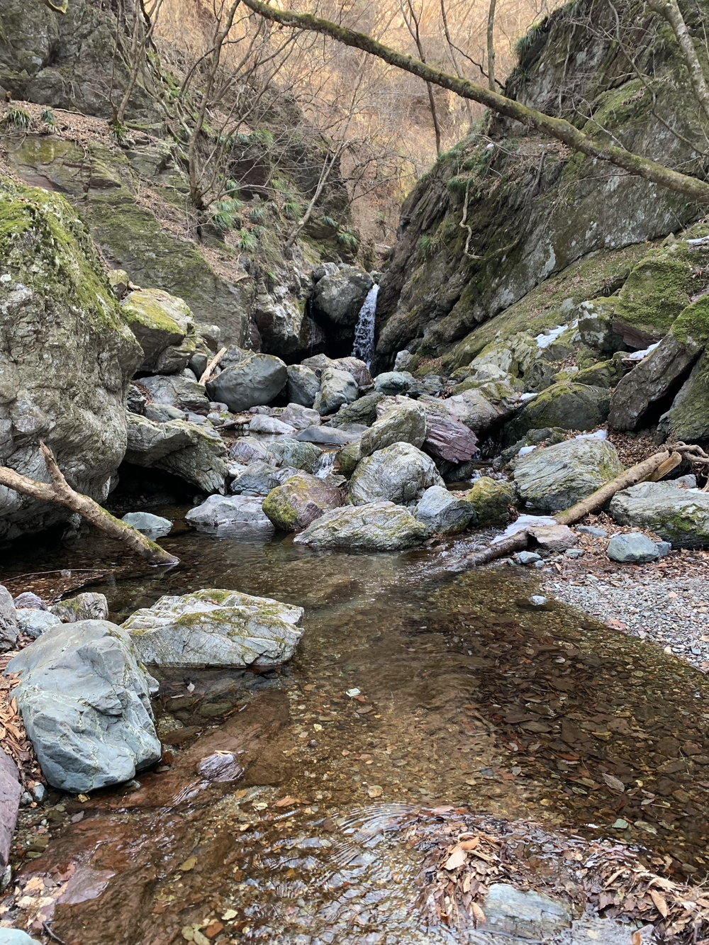 【トレイル】武甲山1wayの写真16