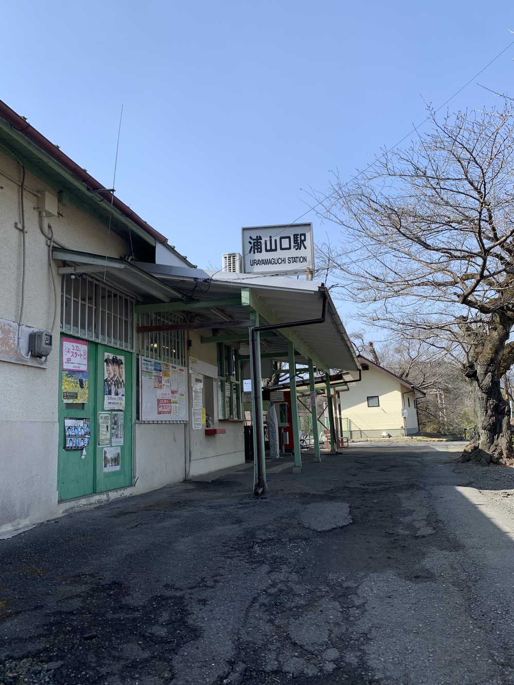 【トレイル】武甲山1wayの写真18