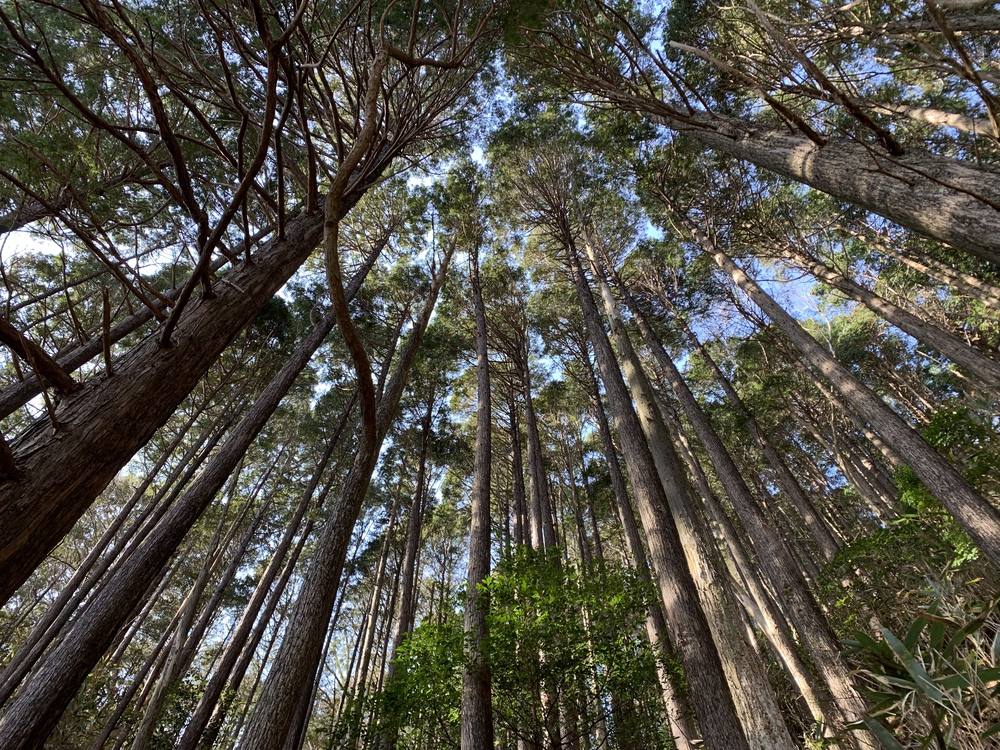 芦ノ湖 一周の写真10