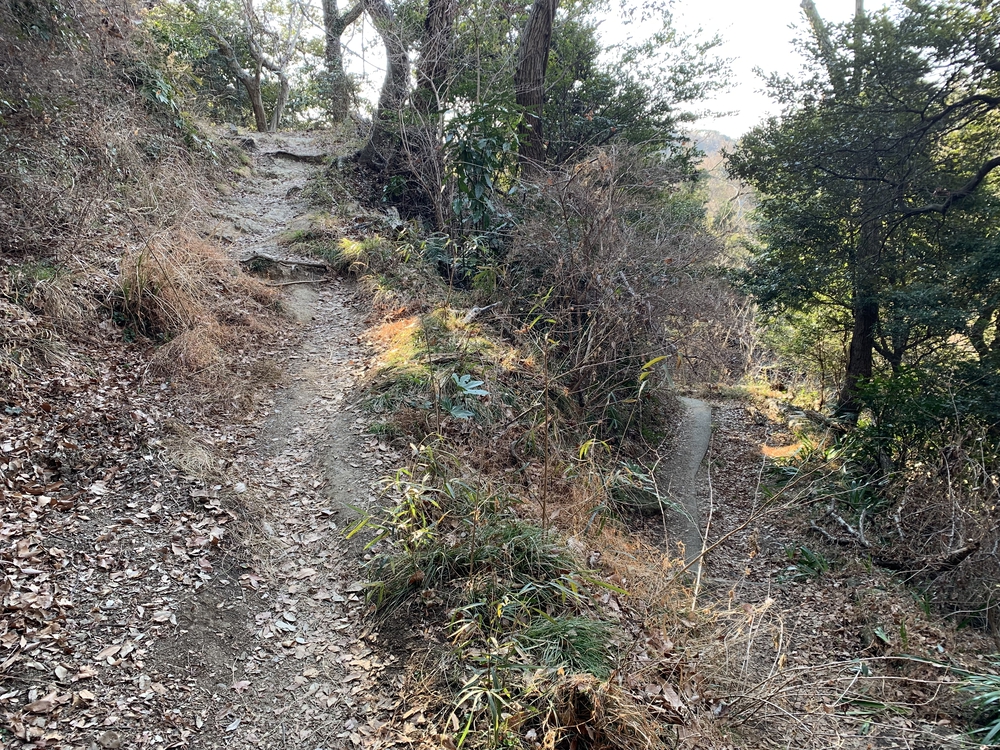 湘南平から海岸を往復の写真4