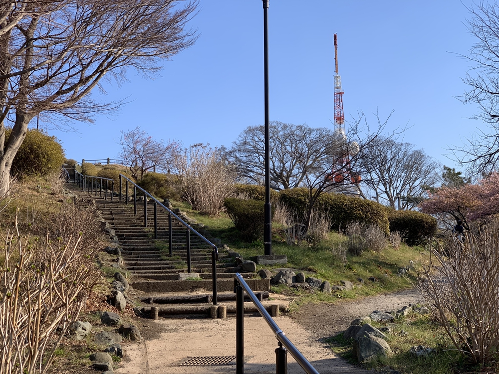湘南平から海岸を往復の写真6