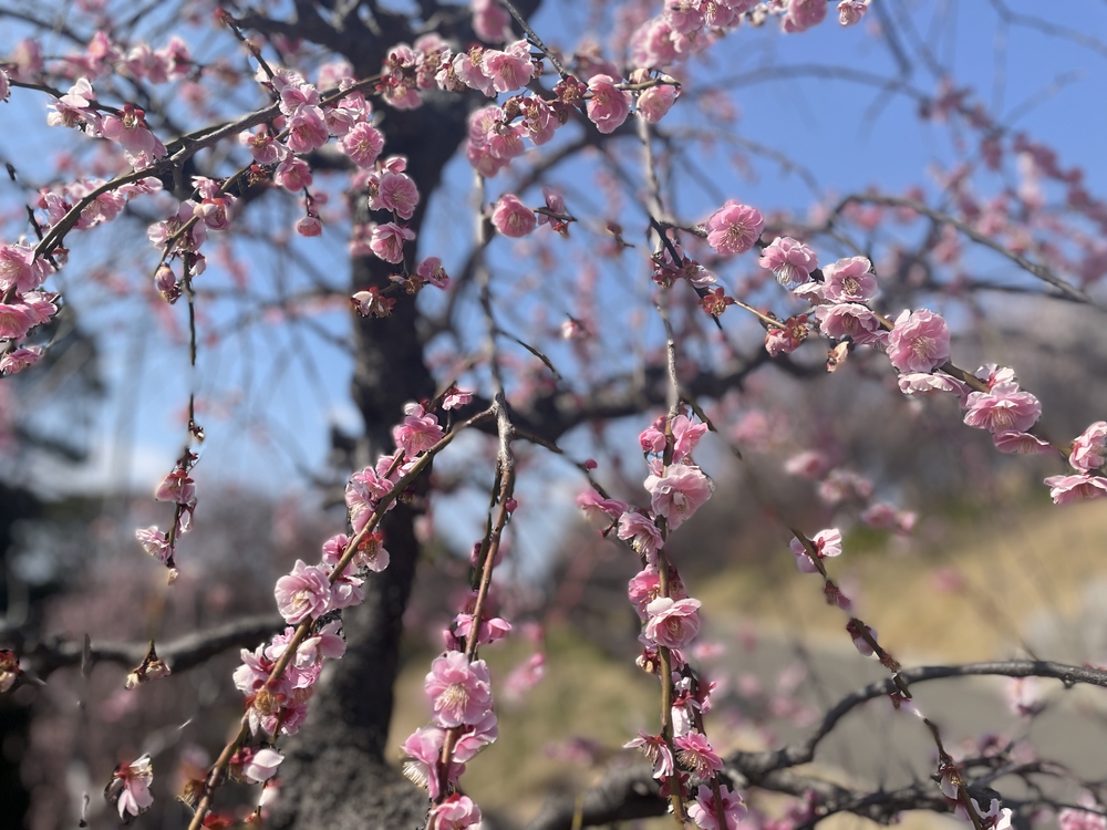 北九州ちょっと走ってきました：戸畑編の写真16