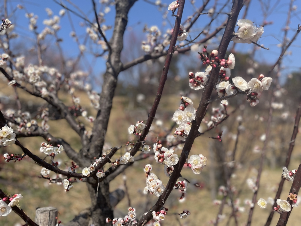 北九州ちょっと走ってきました：戸畑編の写真17