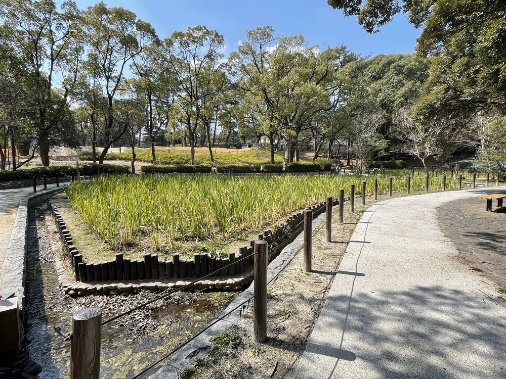 北九州ちょっと走ってきました：戸畑編の写真23