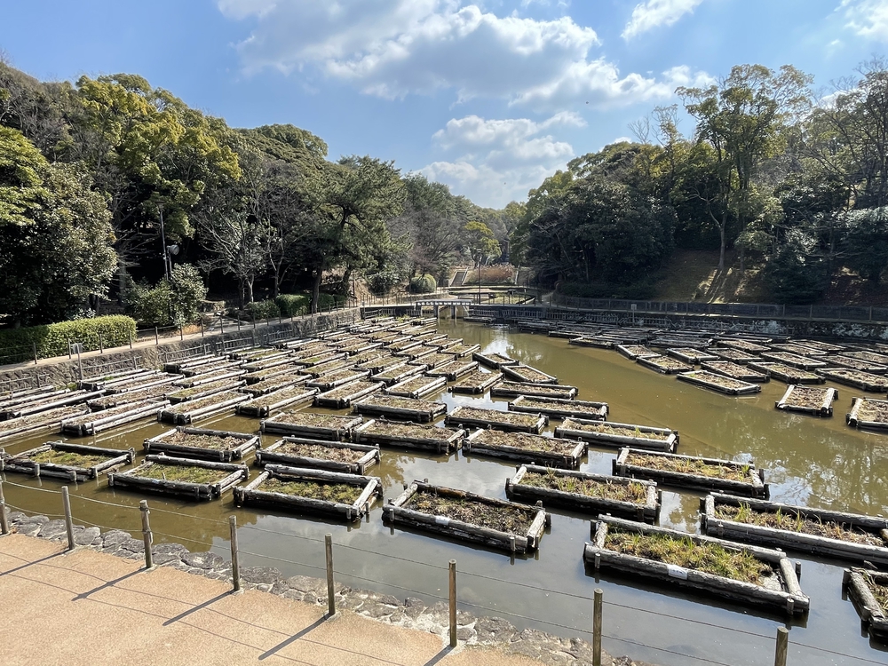 北九州ちょっと走ってきました：戸畑編の写真24