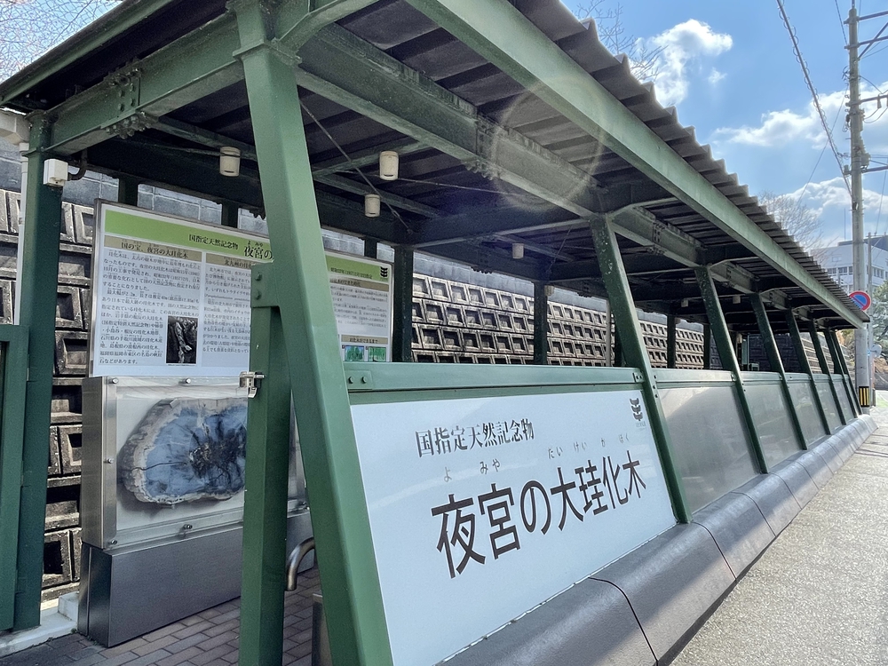 北九州ちょっと走ってきました：戸畑編の写真25