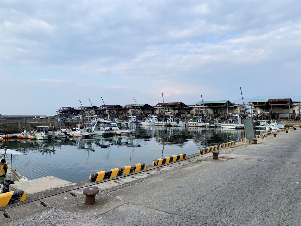 平和記念公園〜宮島ハーフコースの写真3