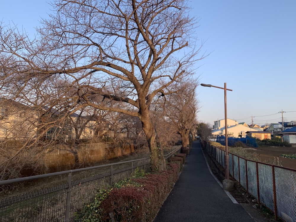 残堀川の源流 狭山池への写真3