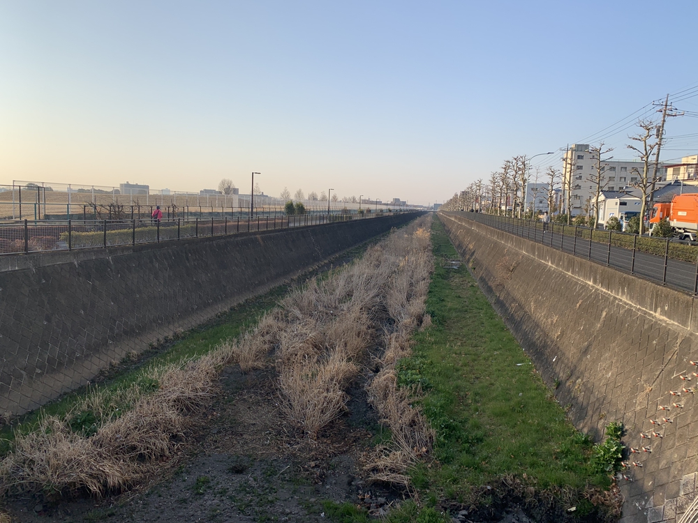 残堀川の源流 狭山池への写真6