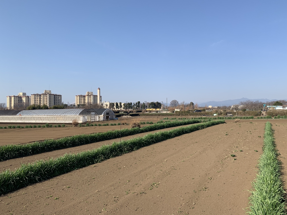 横田基地の東側を箱根ヶ崎駅から拝島駅までの写真4