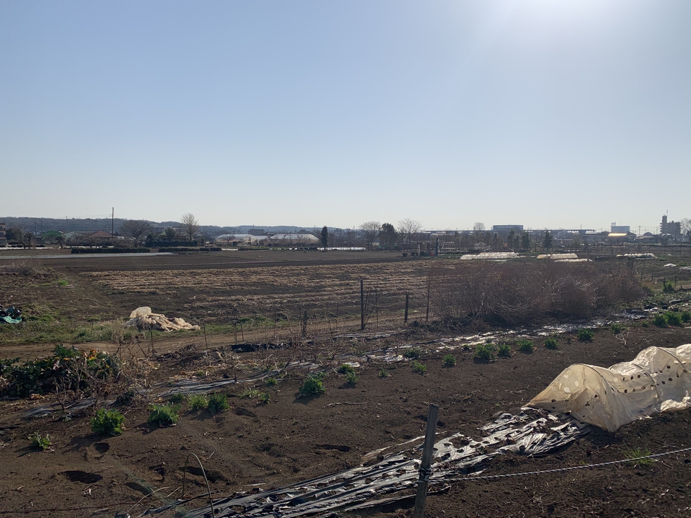 横田基地の東側を箱根ヶ崎駅から拝島駅までの写真5