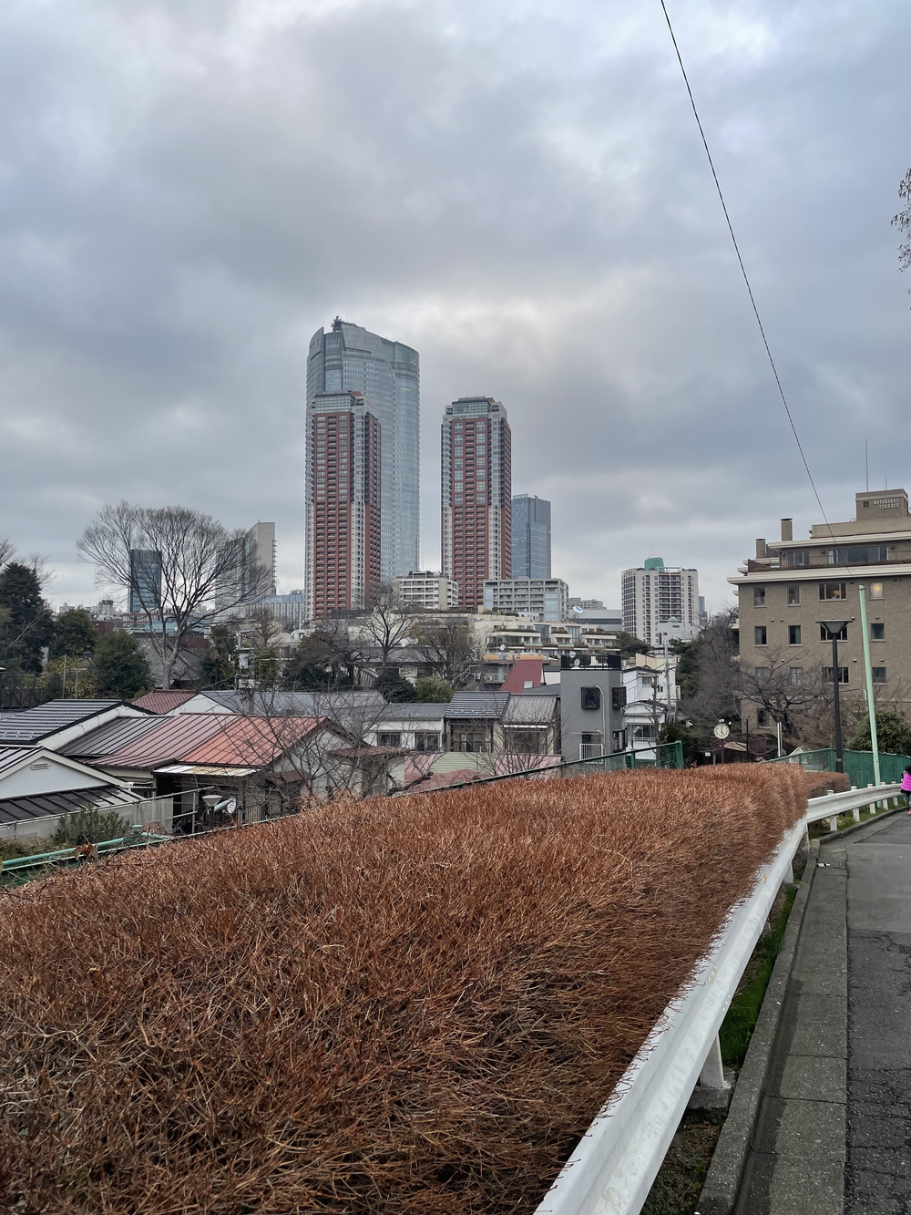 歌川広重と共にRUN 愛宕神社の写真6