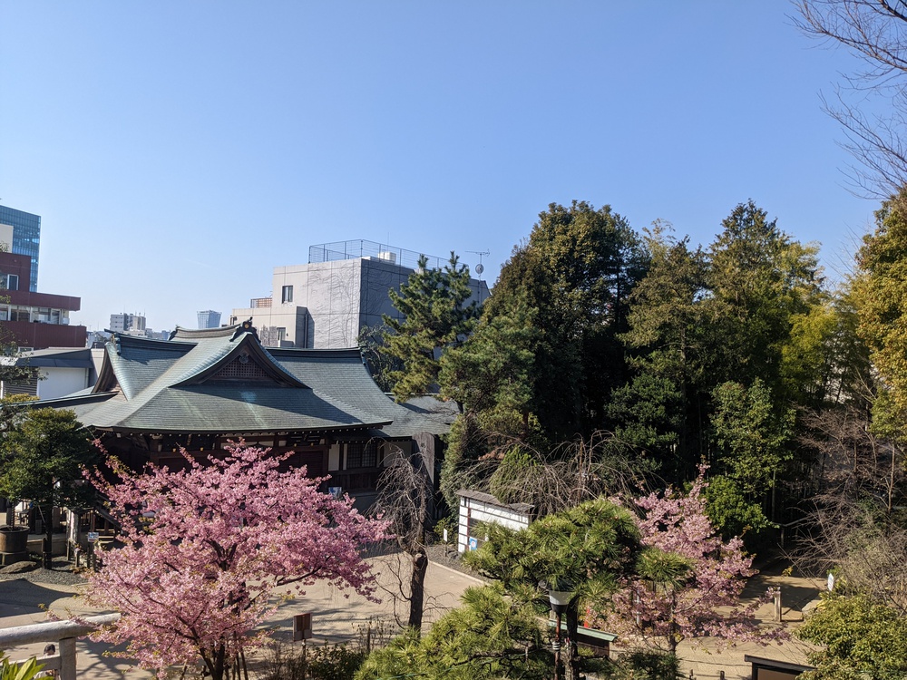 東京オリンピック遺産巡りからのの写真4