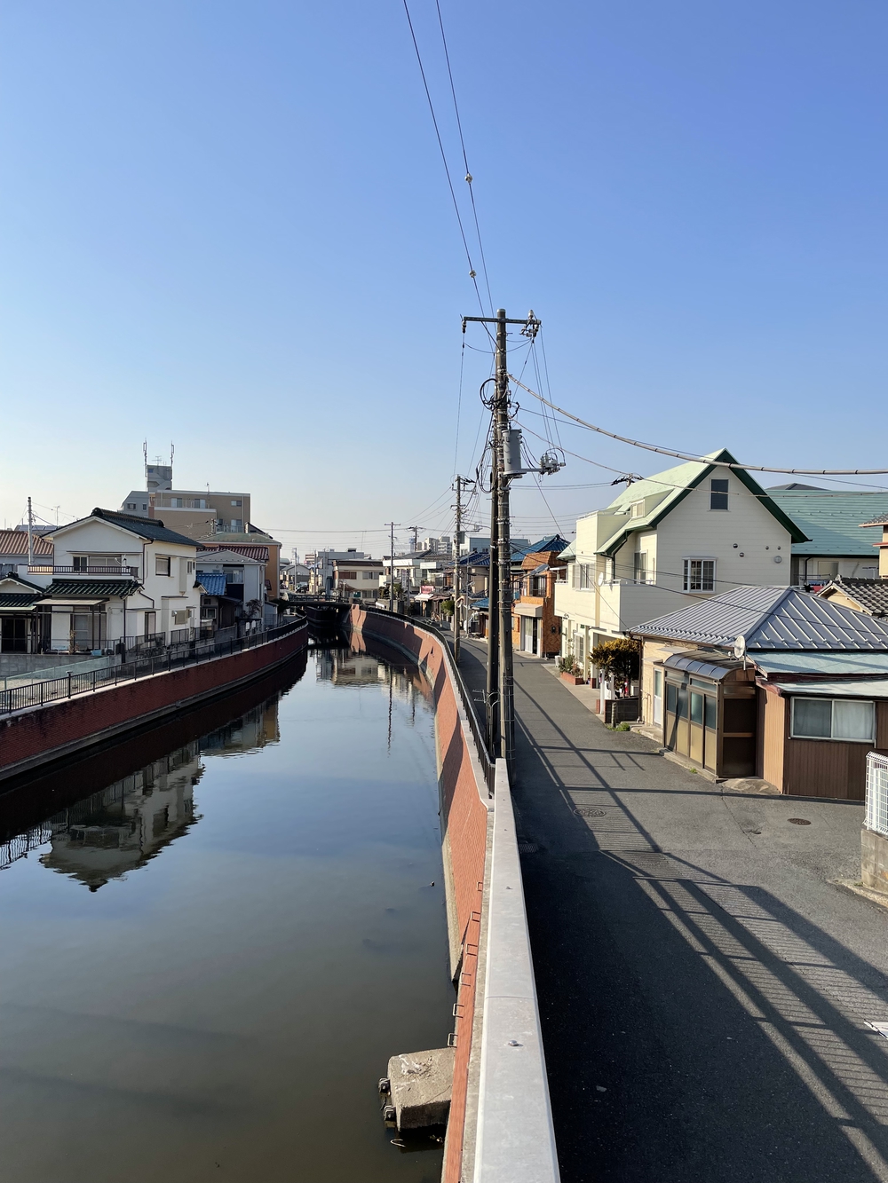 歌川広重と共にRUN 猫実の写真3