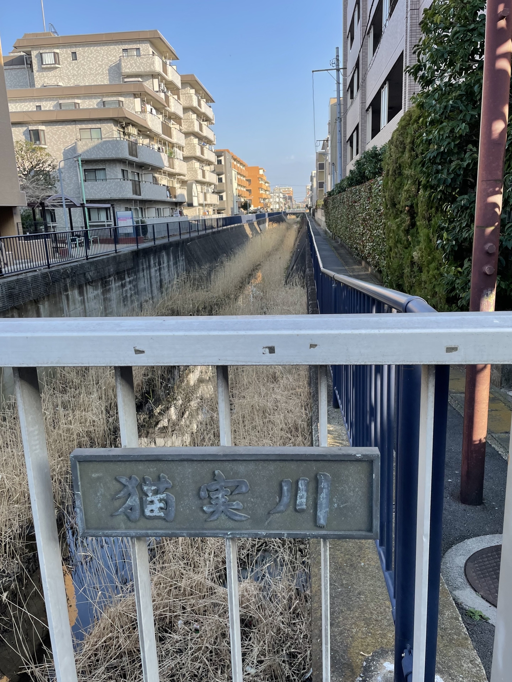 歌川広重と共にRUN 猫実の写真7