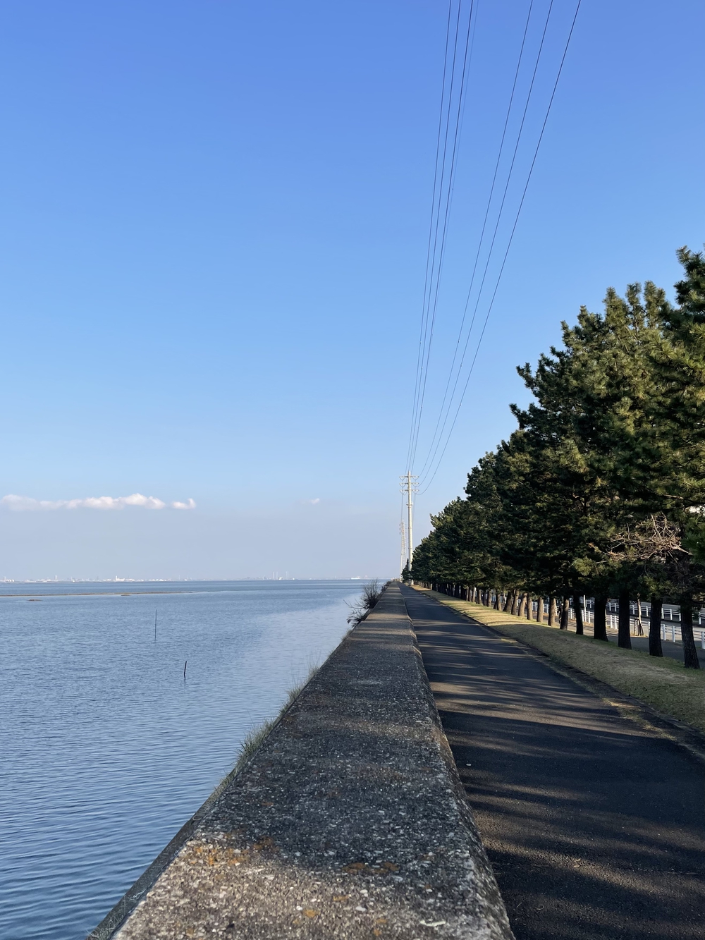 歌川広重と共にRUN 猫実の写真8