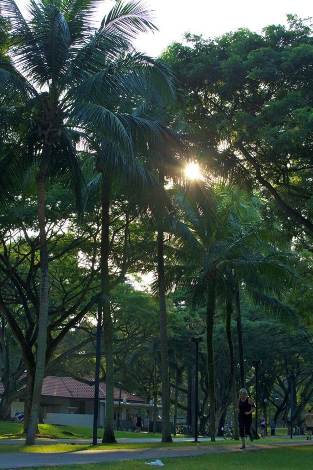 ロングランの聖地・イーストコーストパークの写真4