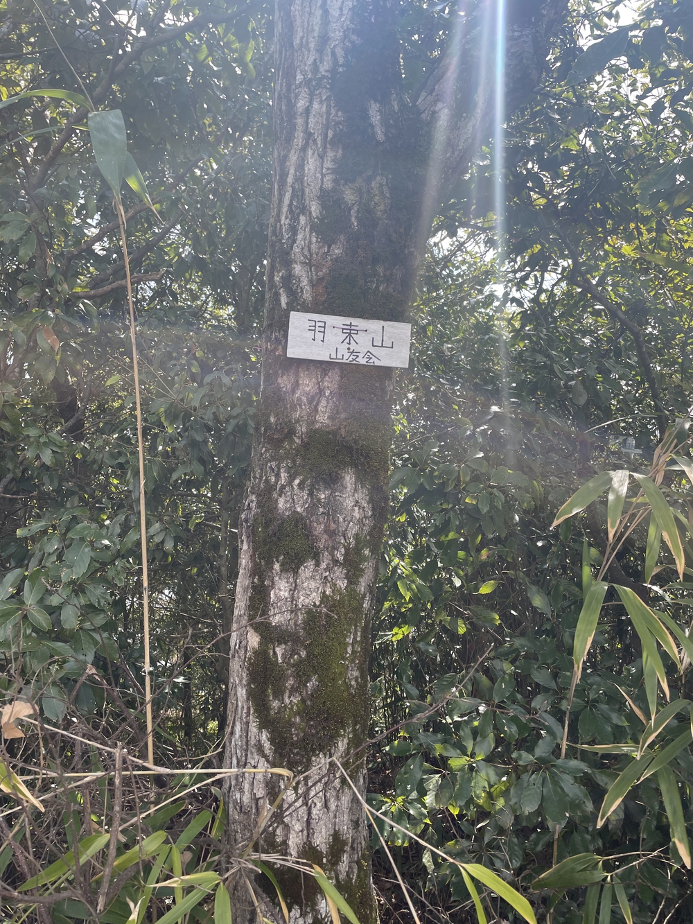 羽束山〜宰相ヶ岳山頂の写真3