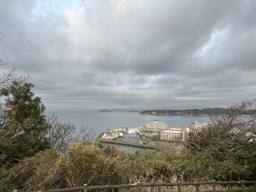 鎌倉由比ヶ浜　逗子　往復　の写真3