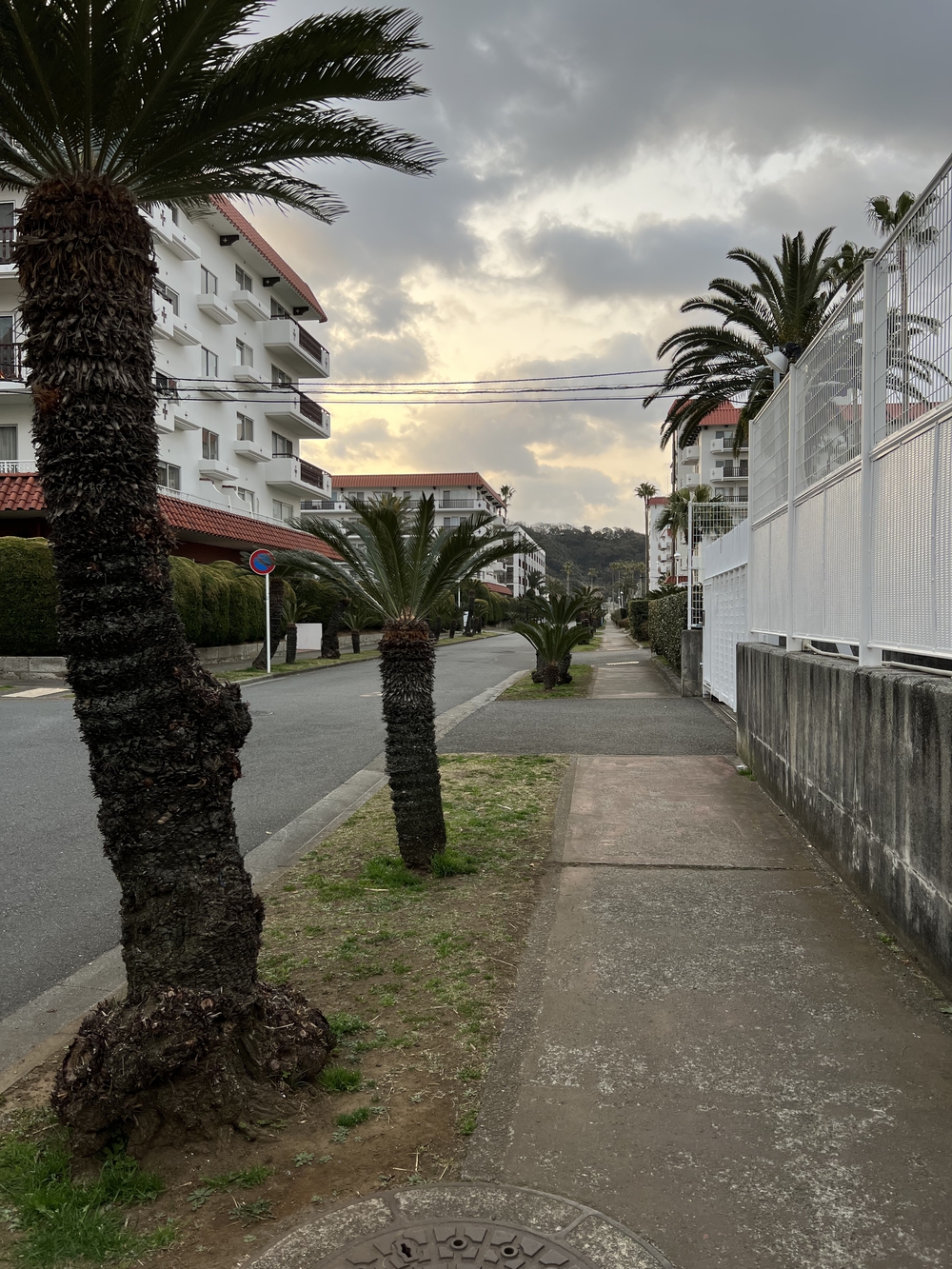 鎌倉由比ヶ浜　逗子　往復　の写真4