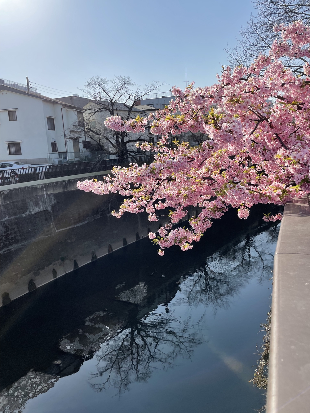 歌川広重と共にRUN 王子の写真6