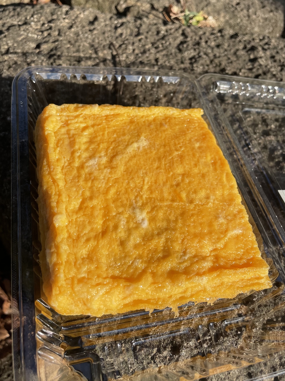 歌川広重と共にRUN 王子の写真9