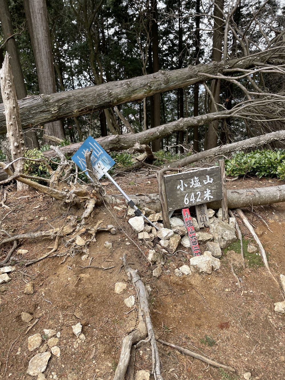 天王山〜西山縦走の写真4