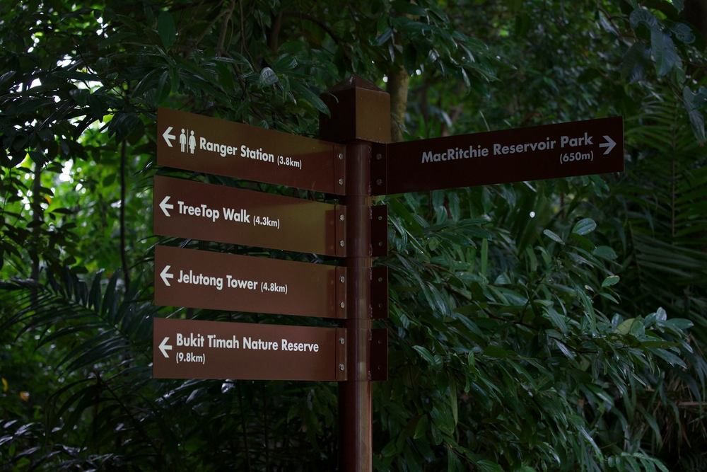 今もなお残る素晴らしいマクリッチ貯水池の写真4