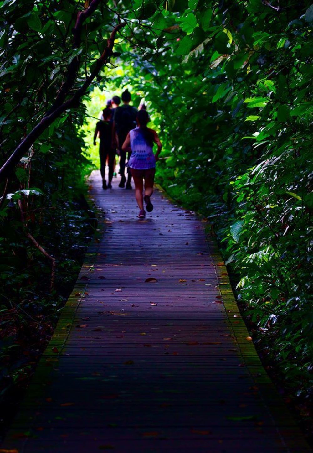 今もなお残る素晴らしいマクリッチ貯水池の写真9