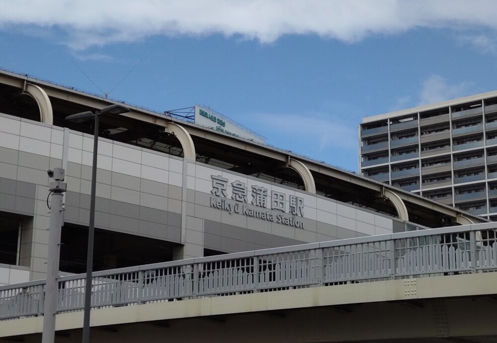 旧東海道ハーフ（川崎から日本橋）の写真6