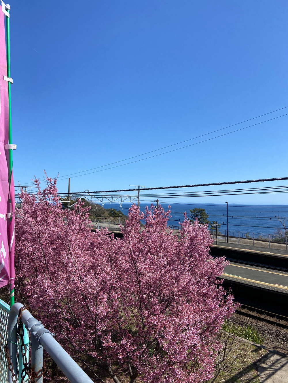 根府川〜真鶴半島一周😊Run trip❗️の写真3