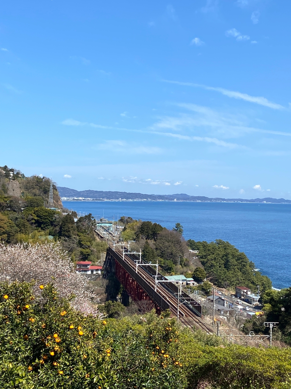 根府川〜真鶴半島一周😊Run trip❗️の写真5