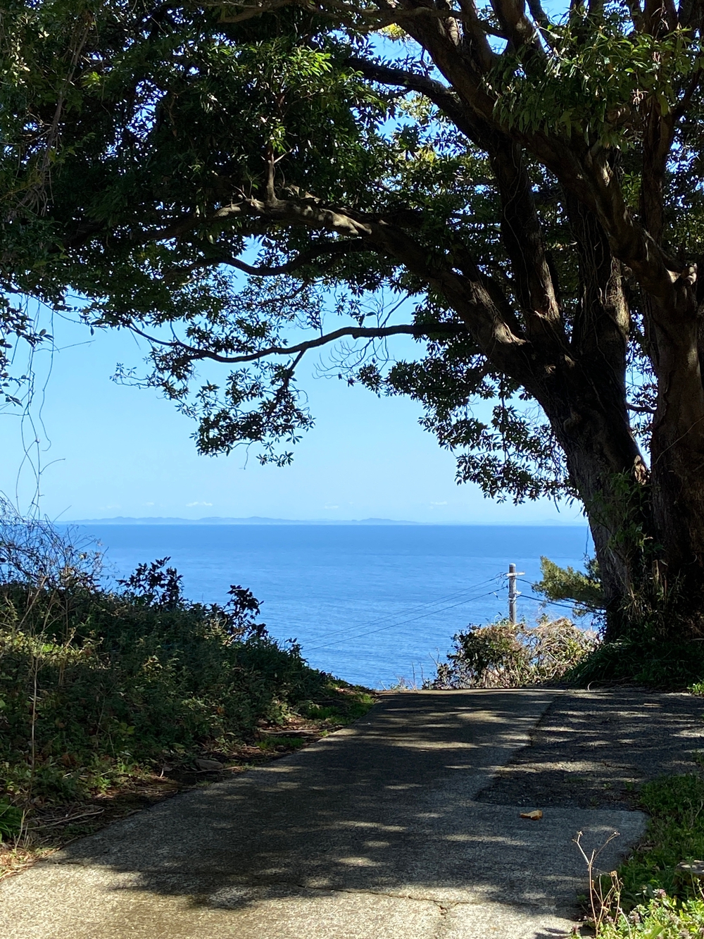 根府川〜真鶴半島一周😊Run trip❗️の写真6