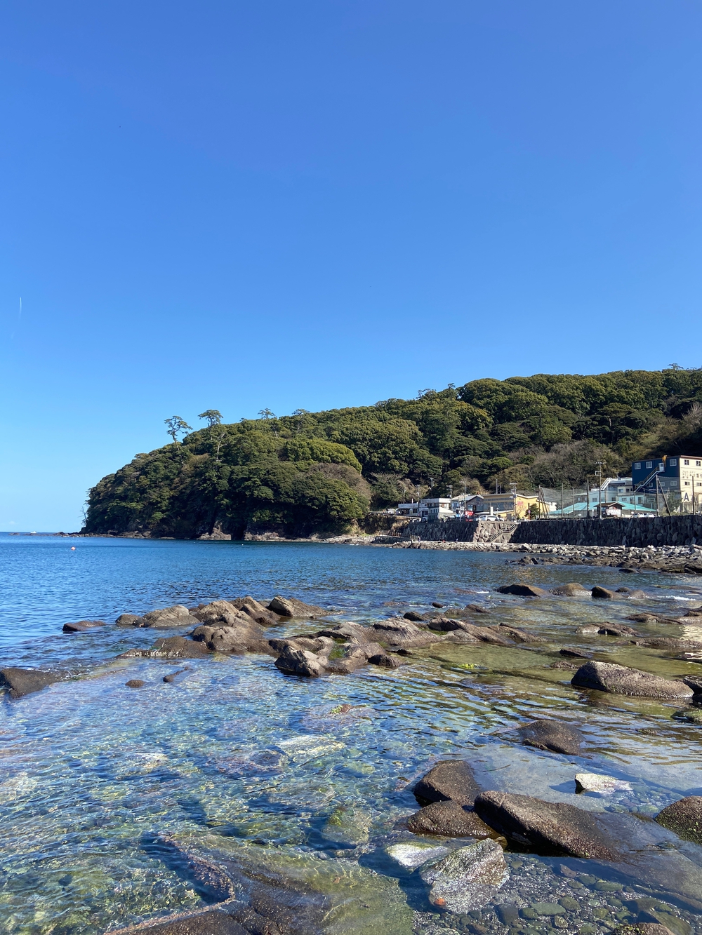 根府川〜真鶴半島一周😊Run trip❗️の写真13