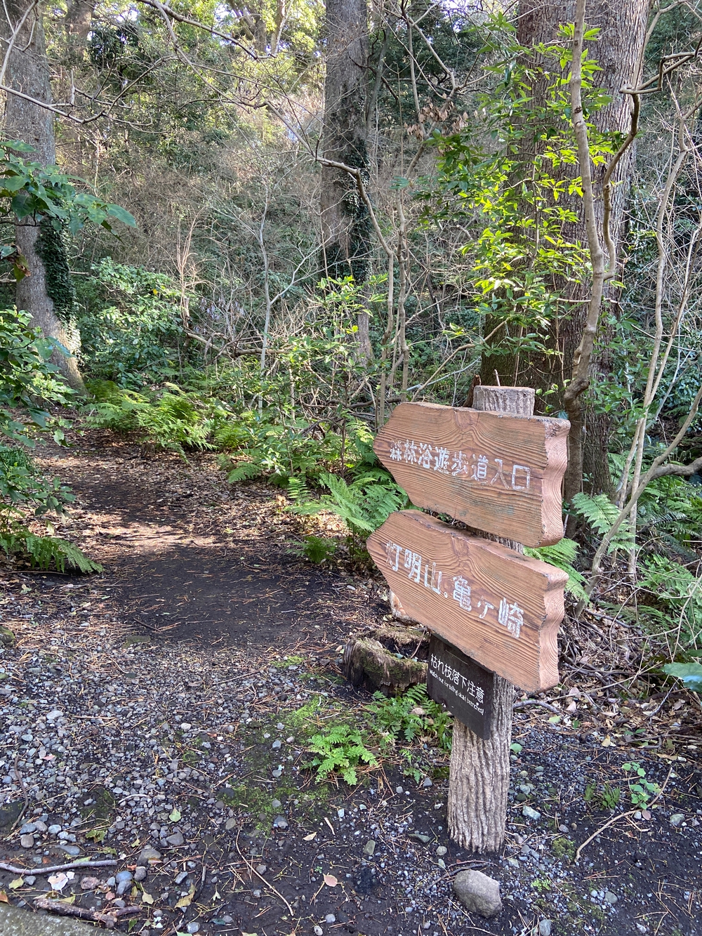 根府川〜真鶴半島一周😊Run trip❗️の写真14