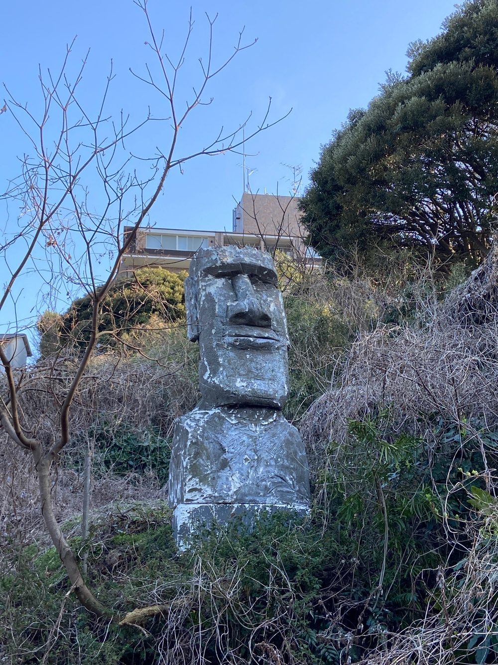 根府川〜真鶴半島一周😊Run trip❗️の写真22