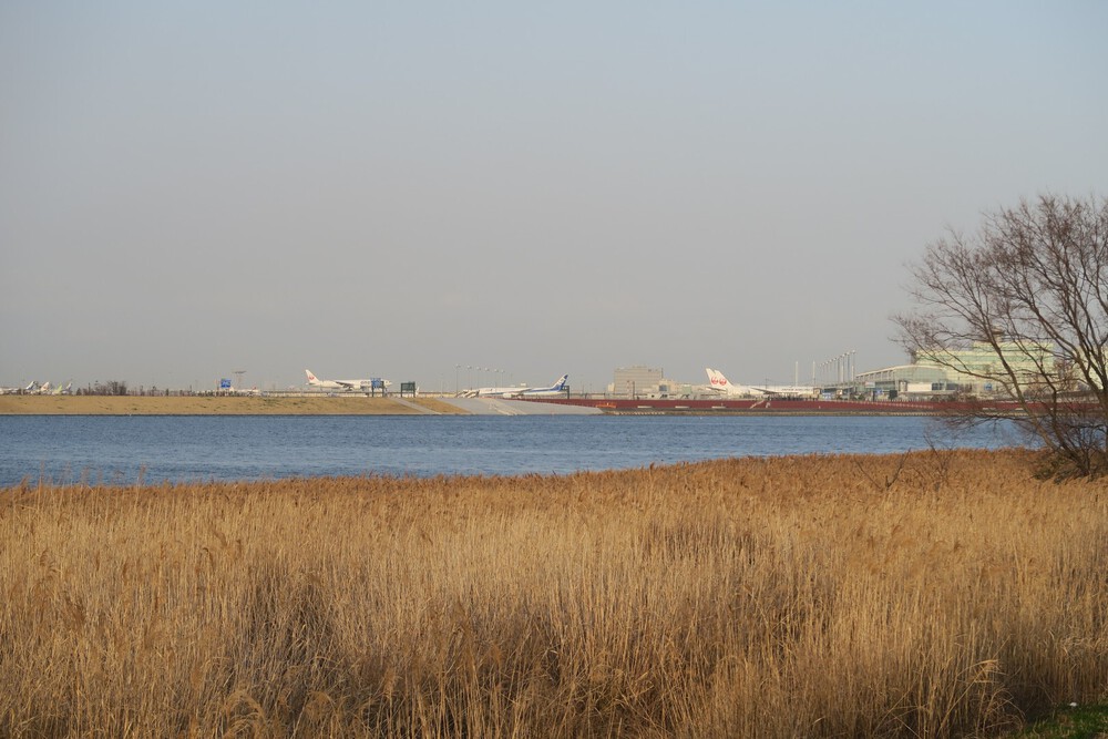 【完全版】多摩川スカイブリッジラン（川崎大師駅から天空橋駅）の写真10