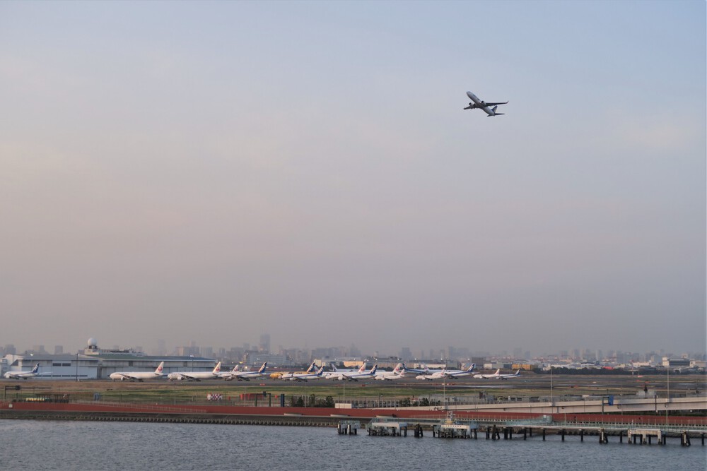 【完全版】多摩川スカイブリッジラン（川崎大師駅から天空橋駅）の写真14