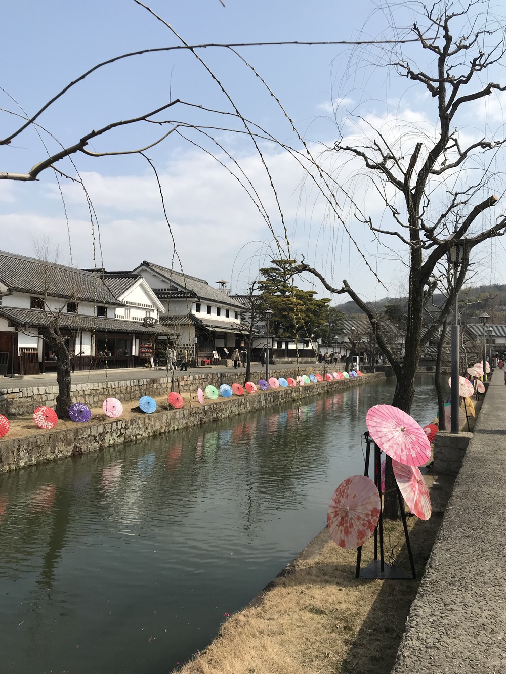 倉敷駅発着の川沿いとっておきコースの写真3