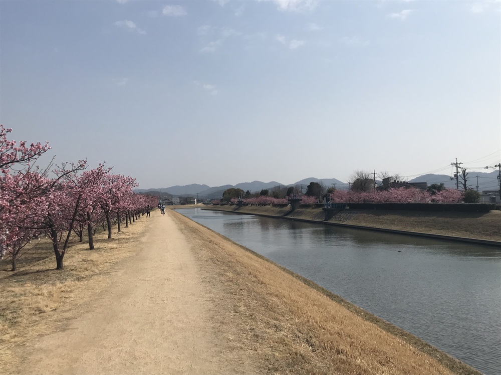 倉敷駅発着の川沿いとっておきコースの写真4