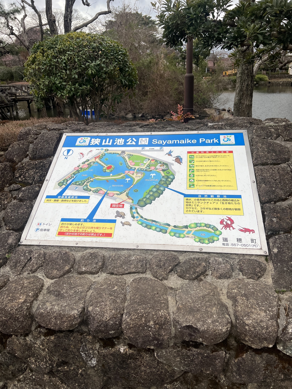 残堀川の源泉から横田基地の写真4