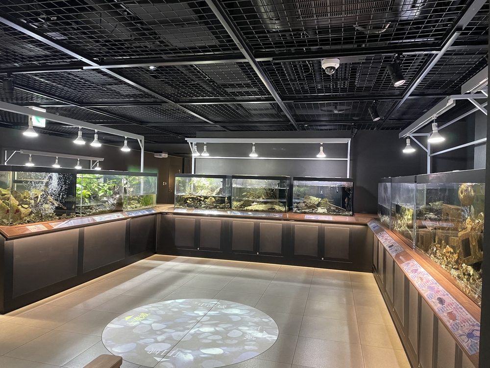 北九州ちょっと走ってきました：小倉編の写真13