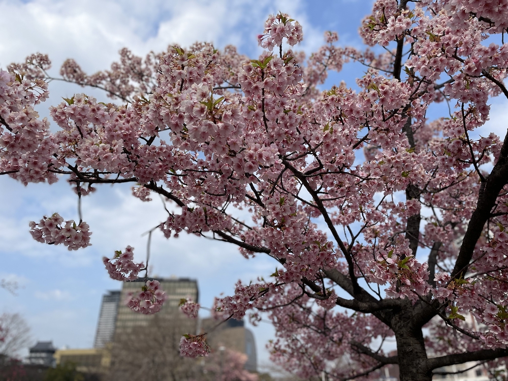 北九州ちょっと走ってきました：小倉編の写真24