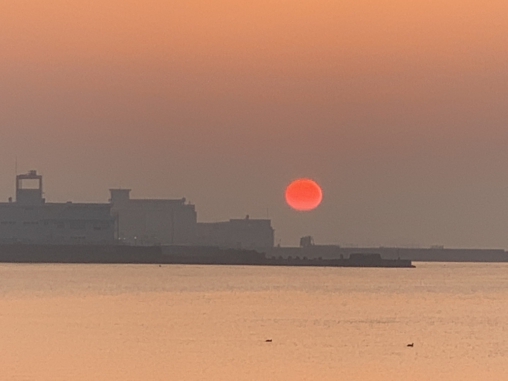 YRPからペリー公園まで往復（出張ラン）の写真6