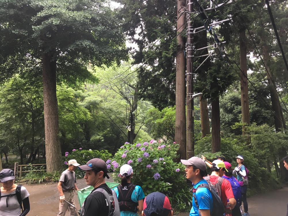 【ガイドブック未掲載！！】隠れ鎌倉トレイルコースを経由してアジサイ見物！！の写真4