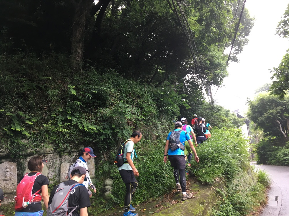 【ガイドブック未掲載！！】隠れ鎌倉トレイルコースを経由してアジサイ見物！！の写真5